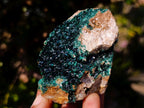 Natural Rare Crystalline Malachite Specimen x 1 From Kolwezi, Congo
