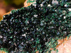 Natural Rare Crystalline Malachite Specimen x 1 From Kolwezi, Congo