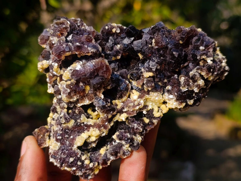 Natural Cubic Brown Fluorite Specimen with Yellow Muscovite Mica x 1 From Erongo Mountain, Namibia