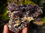 Natural Cubic Brown Fluorite Specimen with Yellow Muscovite Mica x 1 From Erongo Mountain, Namibia