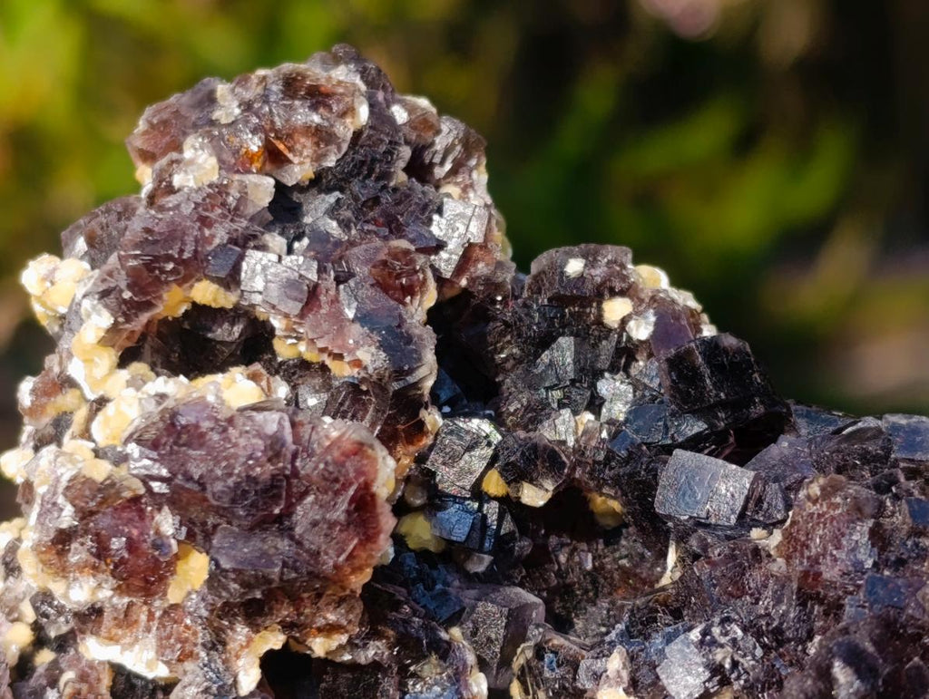 Natural Cubic Brown Fluorite Specimen with Yellow Muscovite Mica x 1 From Erongo Mountain, Namibia