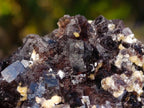 Natural Cubic Brown Fluorite Specimen with Yellow Muscovite Mica x 1 From Erongo Mountain, Namibia