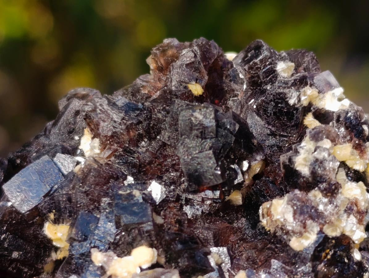 Natural Cubic Brown Fluorite Specimen with Yellow Muscovite Mica x 1 From Erongo Mountain, Namibia