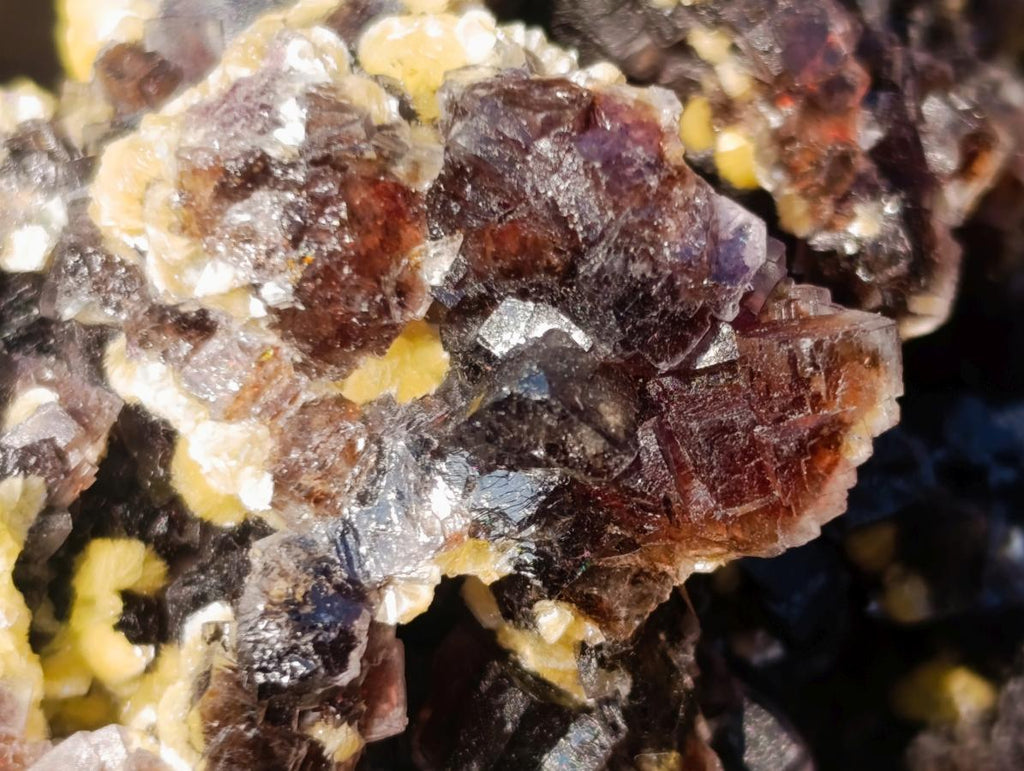 Natural Cubic Brown Fluorite Specimen with Yellow Muscovite Mica x 1 From Erongo Mountain, Namibia