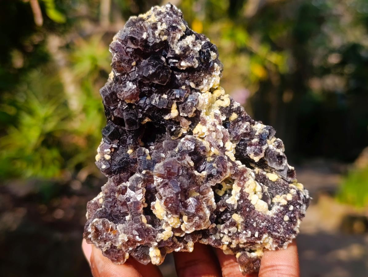 Natural Cubic Brown Fluorite Specimen with Yellow Muscovite Mica x 1 From Erongo Mountain, Namibia