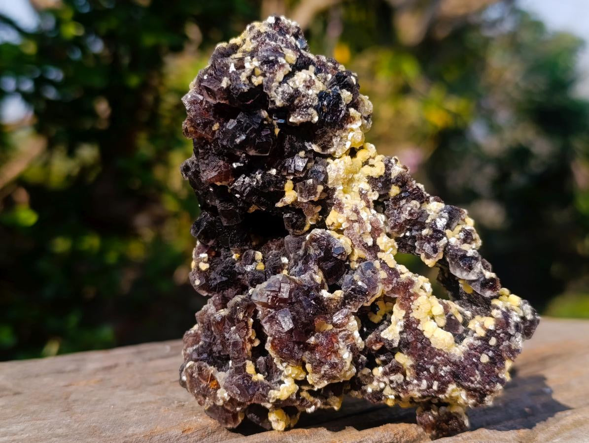 Natural Cubic Brown Fluorite Specimen with Yellow Muscovite Mica x 1 From Erongo Mountain, Namibia