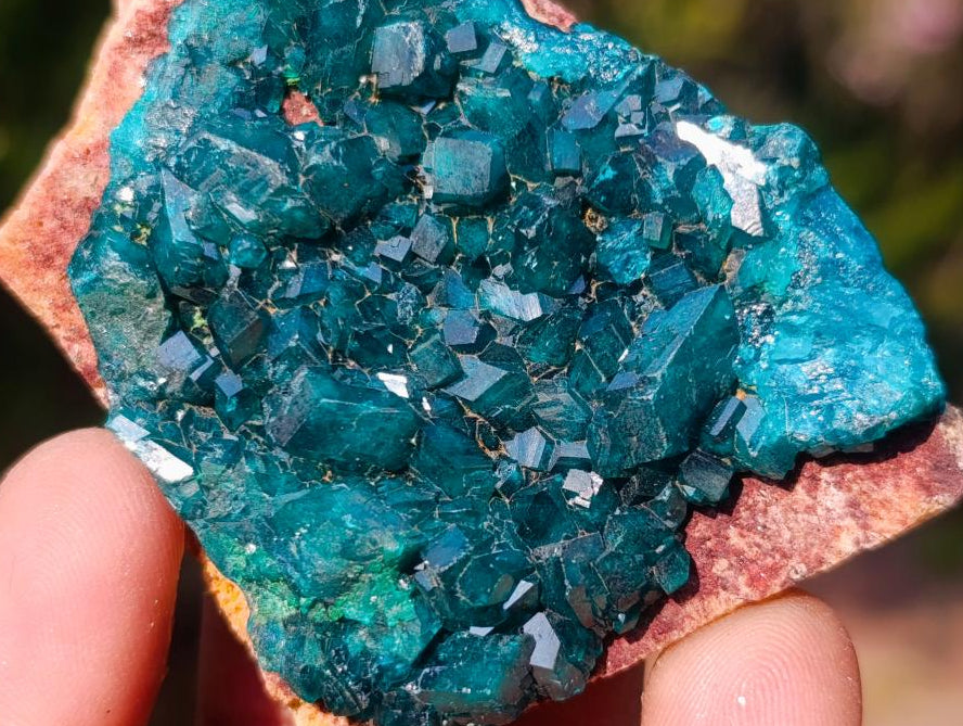 Natural Small 6.6 cm Dioptase Specimen on a Dolomite Matrix x 1 From Mashamba East Mine, Congo