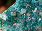 Natural Small 6.6 cm Dioptase Specimen on a Dolomite Matrix x 1 From Mashamba East Mine, Congo