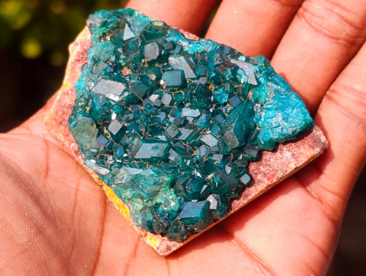 Natural Small 6.6 cm Dioptase Specimen on a Dolomite Matrix x 1 From Mashamba East Mine, Congo
