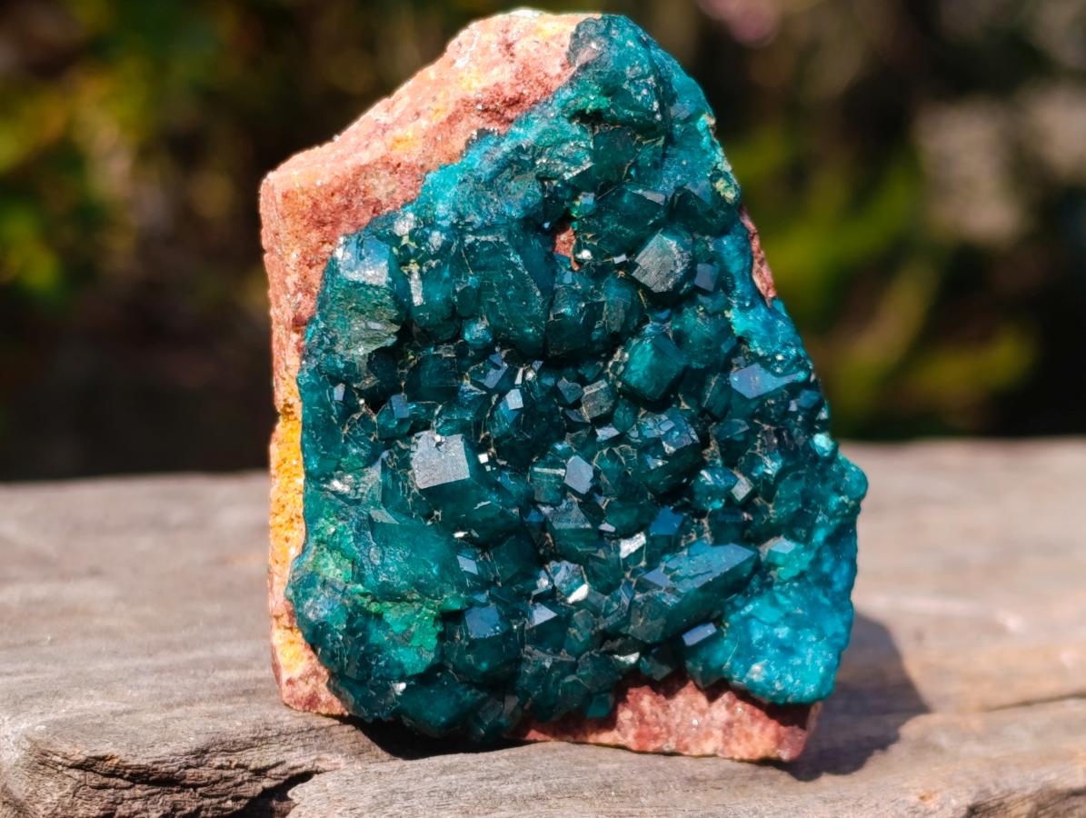 Natural Small 6.6 cm Dioptase Specimen on a Dolomite Matrix x 1 From Mashamba East Mine, Congo