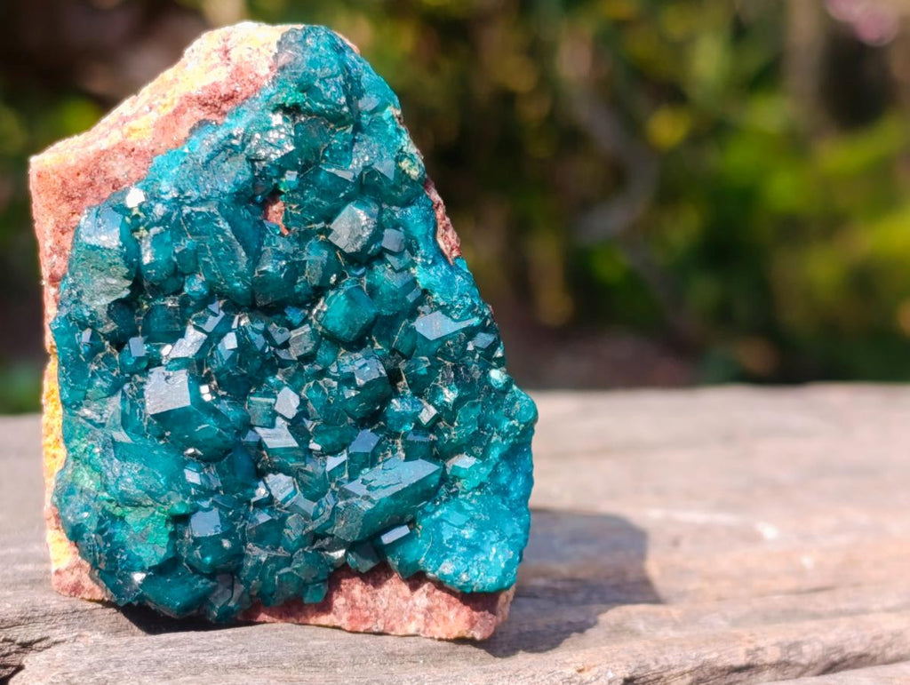 Natural Small 6.6 cm Dioptase Specimen on a Dolomite Matrix x 1 From Mashamba East Mine, Congo