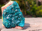 Natural Small 6.6 cm Dioptase Specimen on a Dolomite Matrix x 1 From Mashamba East Mine, Congo