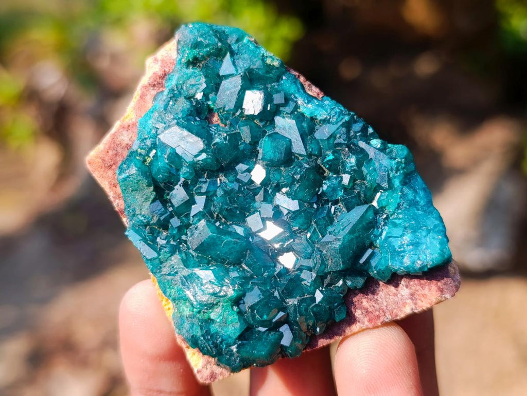 Natural Small 6.6 cm Dioptase Specimen on a Dolomite Matrix x 1 From Mashamba East Mine, Congo