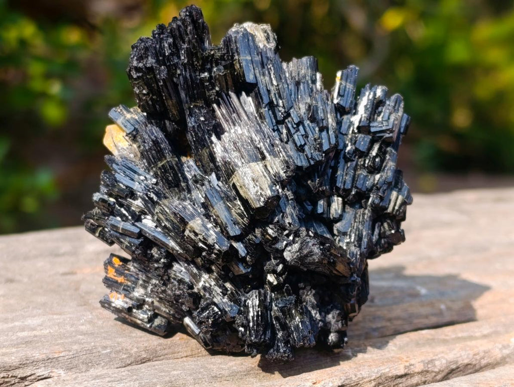 Natural Multi Terminated Splayed Black Schorl Tourmaline Floater Specimen x 1 From Erongo, Namibia