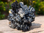 Natural Multi Terminated Splayed Black Schorl Tourmaline Floater Specimen x 1 From Erongo, Namibia