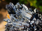 Natural Multi Terminated Splayed Black Schorl Tourmaline Floater Specimen x 1 From Erongo, Namibia