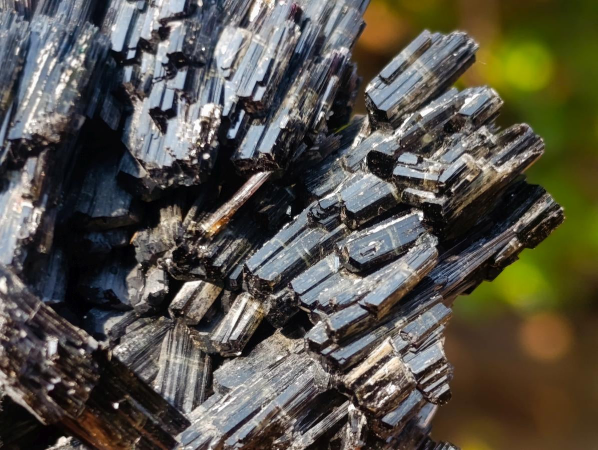 Natural Multi Terminated Splayed Black Schorl Tourmaline Floater Specimen x 1 From Erongo, Namibia