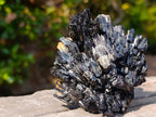 Natural Multi Terminated Splayed Black Schorl Tourmaline Floater Specimen x 1 From Erongo, Namibia