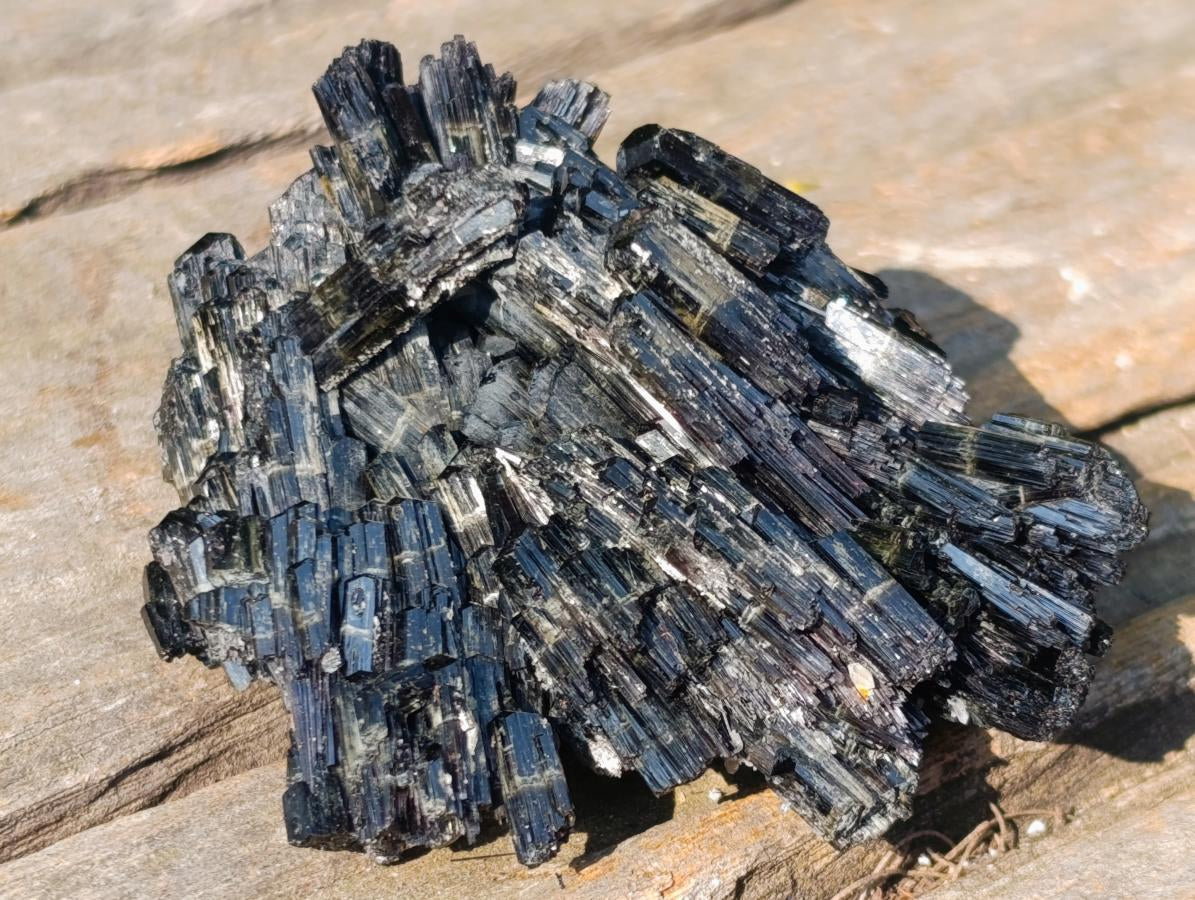 Natural Multi Terminated Splayed Black Schorl Tourmaline Floater Specimen x 1 From Erongo, Namibia