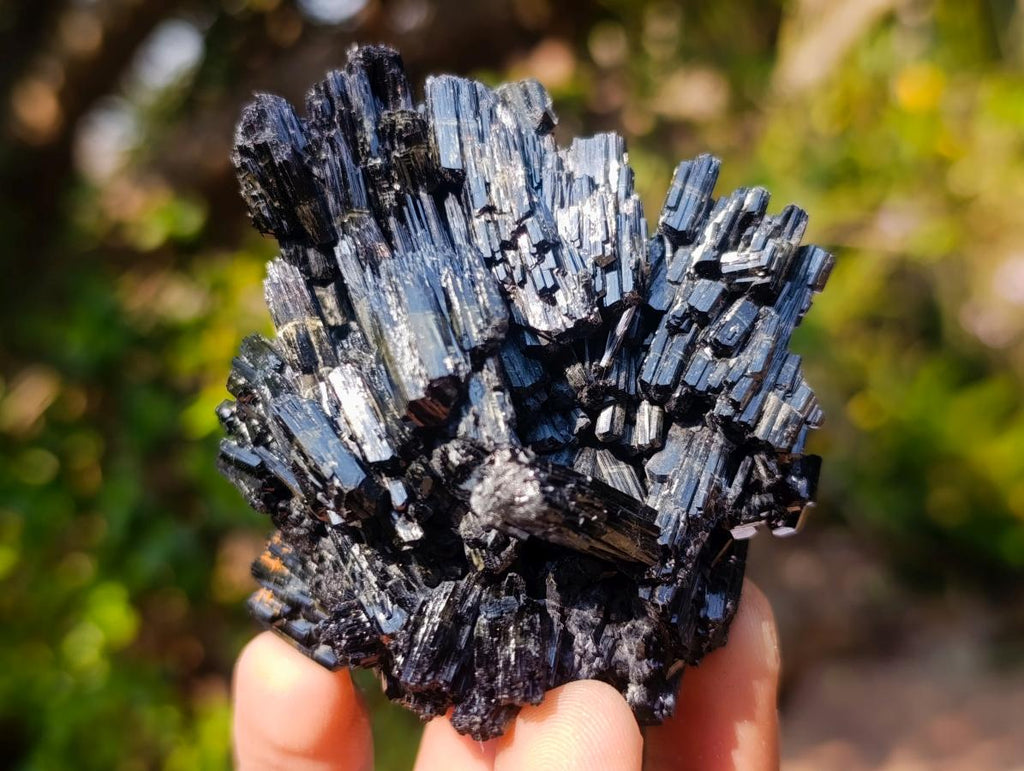 Natural Multi Terminated Splayed Black Schorl Tourmaline Floater Specimen x 1 From Erongo, Namibia
