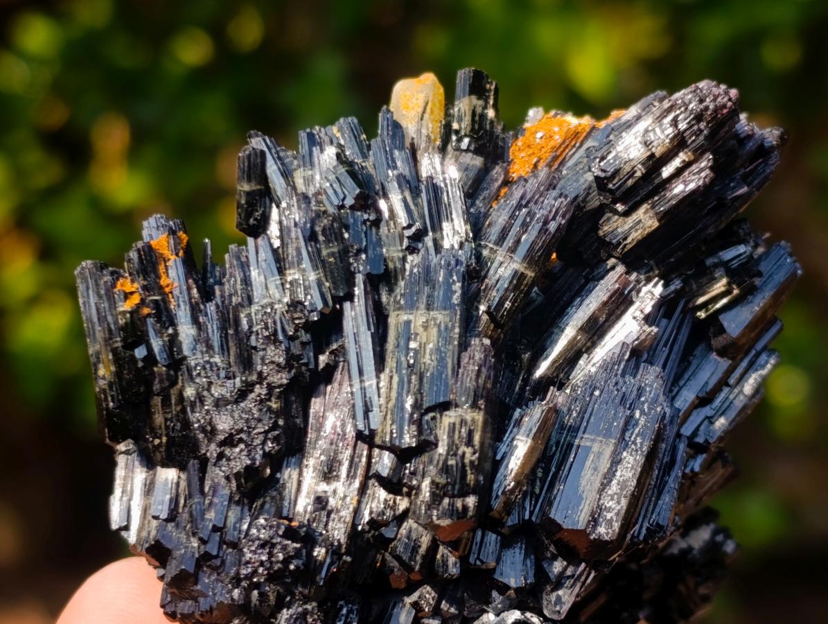 Natural Multi Terminated Splayed Black Schorl Tourmaline Floater Specimen x 1 From Erongo, Namibia