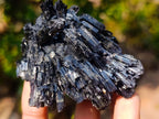 Natural Multi Terminated Splayed Black Schorl Tourmaline Floater Specimen x 1 From Erongo, Namibia