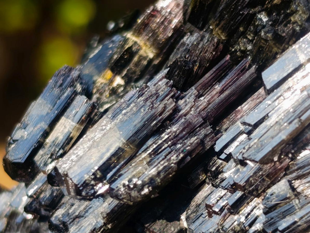 Natural Multi Terminated Splayed Black Schorl Tourmaline Floater Specimen x 1 From Erongo, Namibia