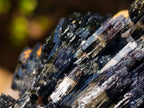 Natural Multi Terminated Splayed Black Schorl Tourmaline Floater Specimen x 1 From Erongo, Namibia