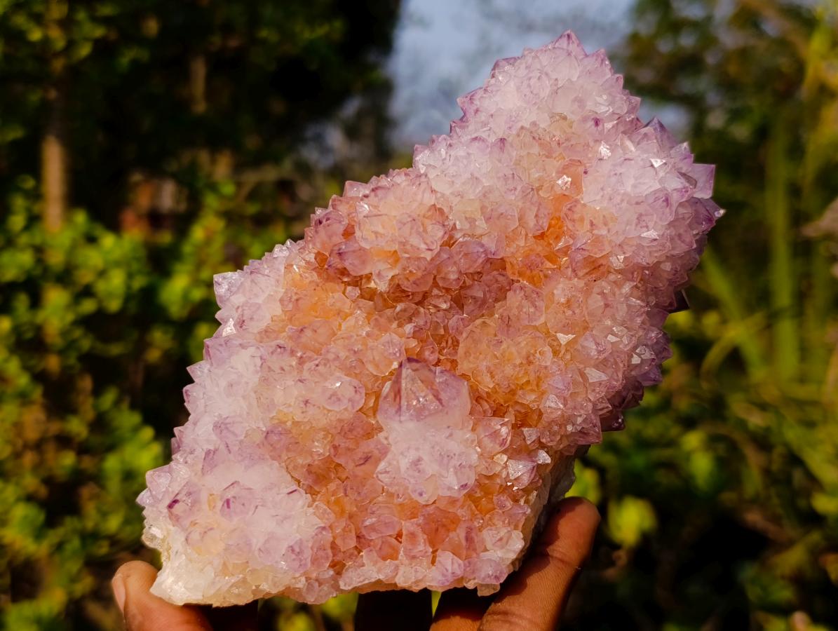 Natural Large Spirit Ametrine Cactus Flower Crystal Cluster x 1 From Boekenhouthoek, South Africa