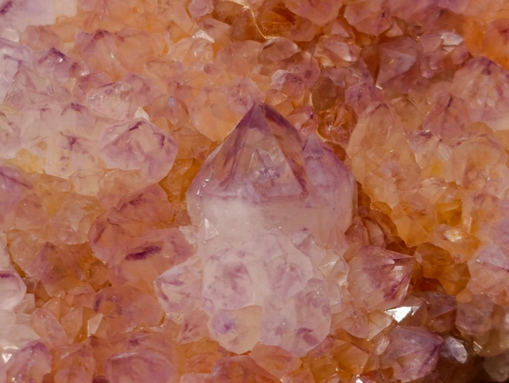 Natural Large Spirit Ametrine Cactus Flower Crystal Cluster x 1 From Boekenhouthoek, South Africa