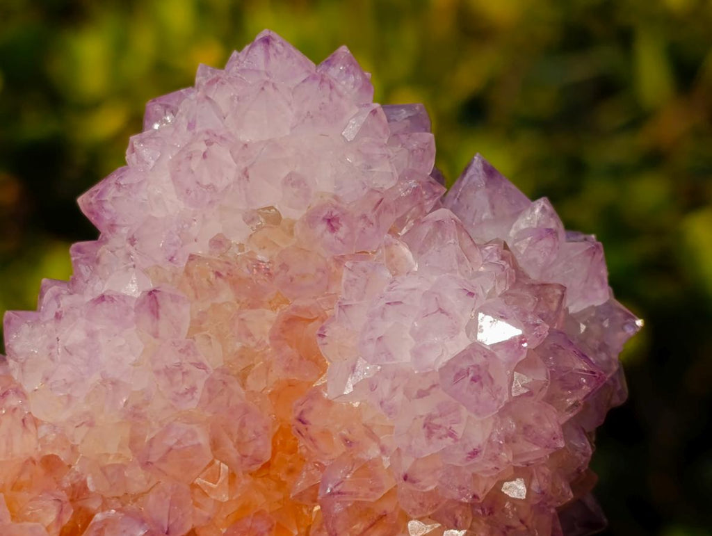Natural Large Spirit Ametrine Cactus Flower Crystal Cluster x 1 From Boekenhouthoek, South Africa