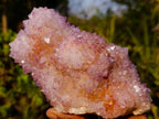 Natural Large Spirit Ametrine Cactus Flower Crystal Cluster x 1 From Boekenhouthoek, South Africa