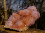 Natural Large Spirit Ametrine Cactus Flower Crystal Cluster x 1 From Boekenhouthoek, South Africa