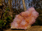 Natural Large Spirit Ametrine Cactus Flower Crystal Cluster x 1 From Boekenhouthoek, South Africa