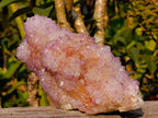 Natural Large Spirit Ametrine Cactus Flower Crystal Cluster x 1 From Boekenhouthoek, South Africa