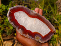 Polished One Side Ringed Shashe River Agate Nodule Slice x 1 From Shashe River, Zimbabwe