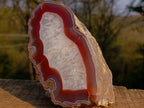 Polished One Side Ringed Shashe River Agate Nodule Slice x 1 From Shashe River, Zimbabwe