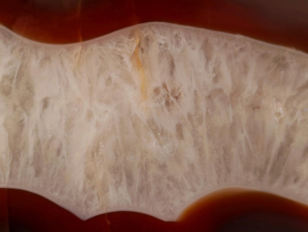 Polished One Side Ringed Shashe River Agate Nodule Slice x 1 From Shashe River, Zimbabwe