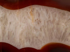 Polished One Side Ringed Shashe River Agate Nodule Slice x 1 From Shashe River, Zimbabwe