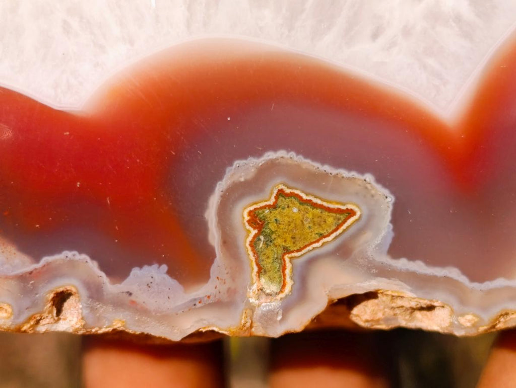 Polished One Side Ringed Shashe River Agate Nodule Slice x 1 From Shashe River, Zimbabwe