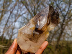 Natural Large Twin Smokey Brandberg Quartz Crystal x 1 From Brandberg, Namibia