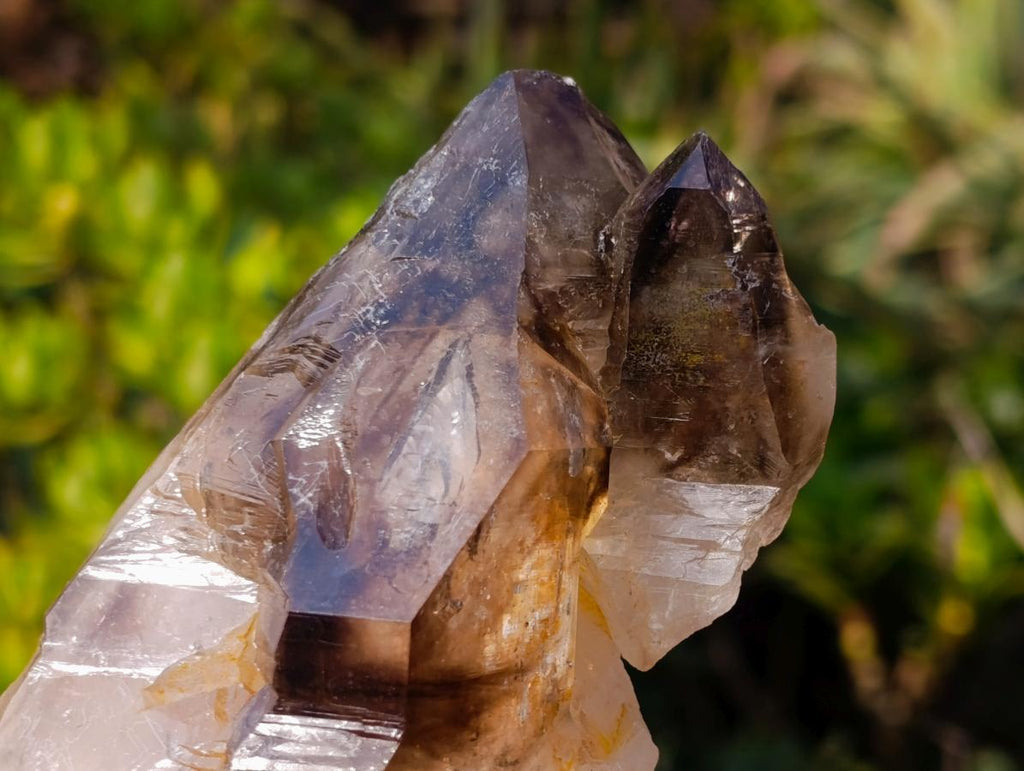 Natural Large Twin Smokey Brandberg Quartz Crystal x 1 From Brandberg, Namibia