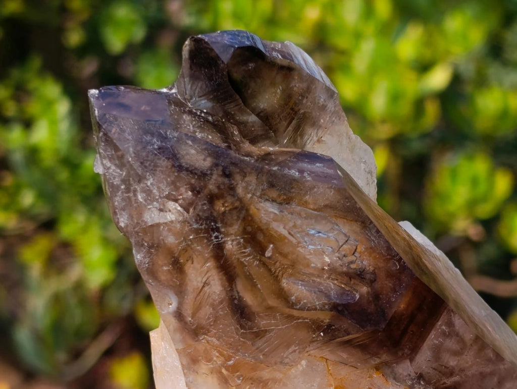 Natural Large Twin Smokey Brandberg Quartz Crystal x 1 From Brandberg, Namibia