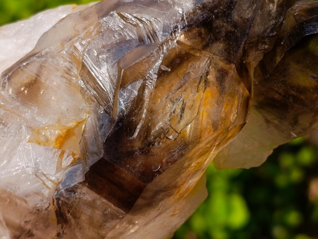 Natural Large Twin Smokey Brandberg Quartz Crystal x 1 From Brandberg, Namibia