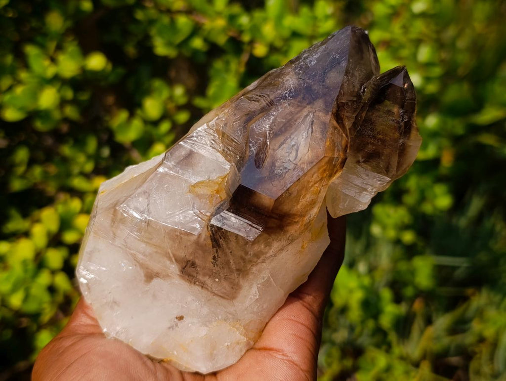 Natural Large Twin Smokey Brandberg Quartz Crystal x 1 From Brandberg, Namibia
