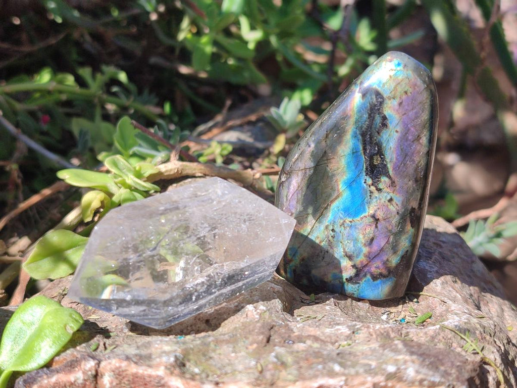 Polished and Natural Mix Set of 9 Minerals, Crystals and Fossils in a Wooden Display Box x 1 From Southern Africa