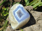 Polished and Natural Mix Set of 9 Minerals, Crystals and Fossils in a Wooden Display Box x 1 From Southern Africa