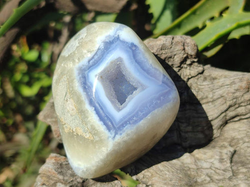 Polished and Natural Mix Set of 9 Minerals, Crystals and Fossils in a Wooden Display Box x 1 From Southern Africa