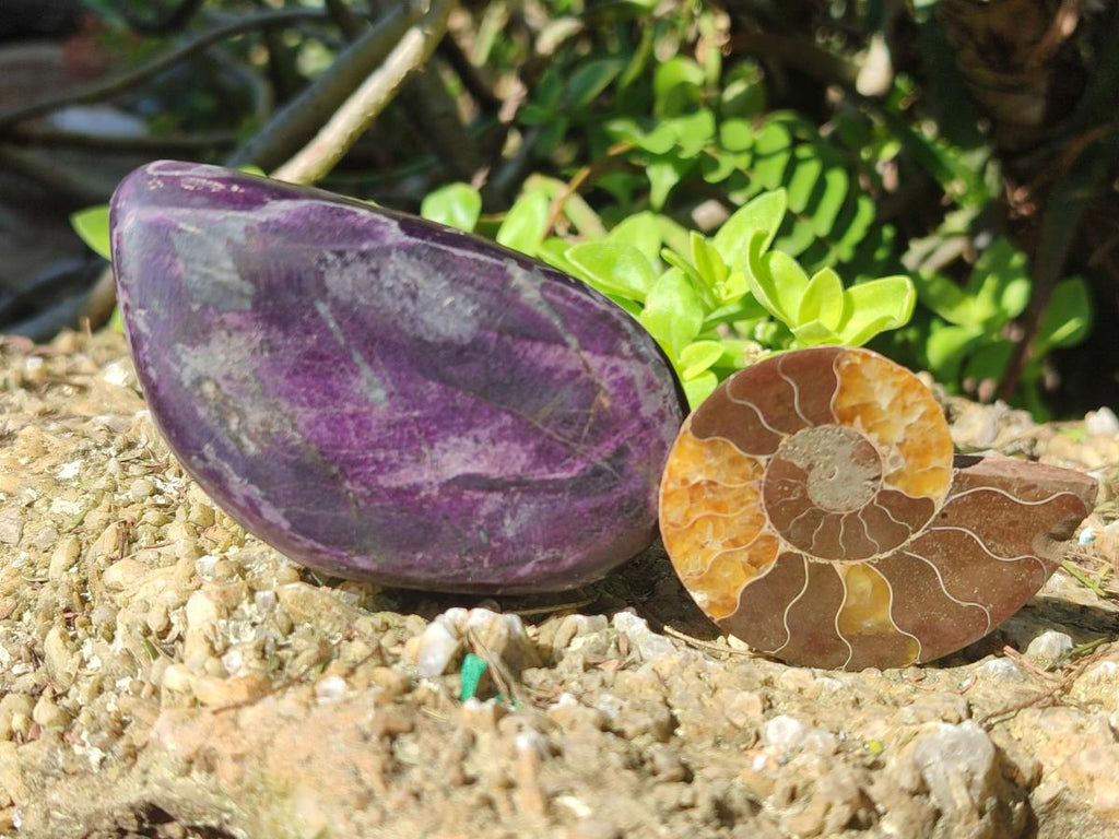 Polished and Natural Mix Set of 9 Minerals, Crystals and Fossils in a Wooden Display Box x 1 From Southern Africa