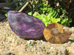 Polished and Natural Mix Set of 9 Minerals, Crystals and Fossils in a Wooden Display Box x 1 From Southern Africa